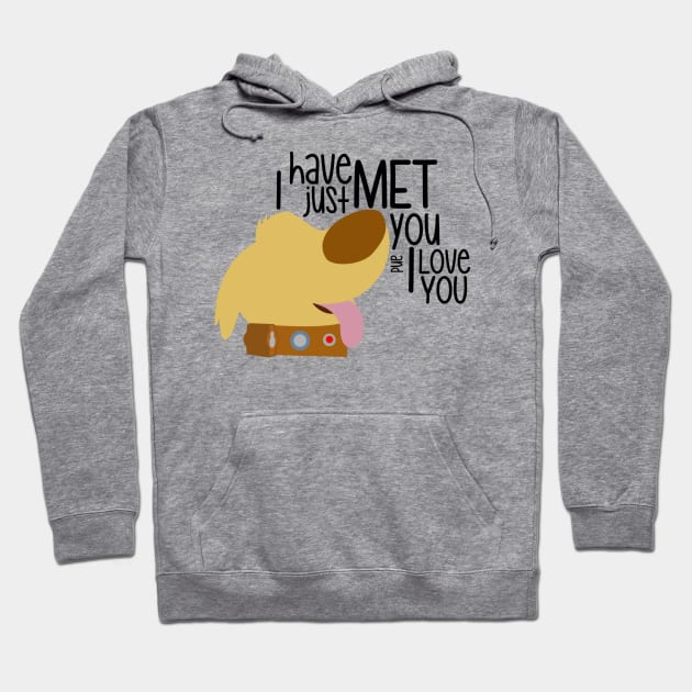 I have just met you & I love you Hoodie by WereAllMadBoutique